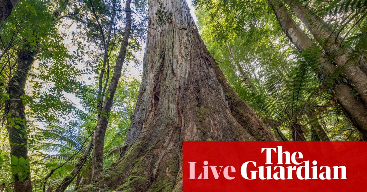 Australia politics live: Labor’s concessions to get Greens and Coalition to back nature laws overhaul revealed | Australian politics
