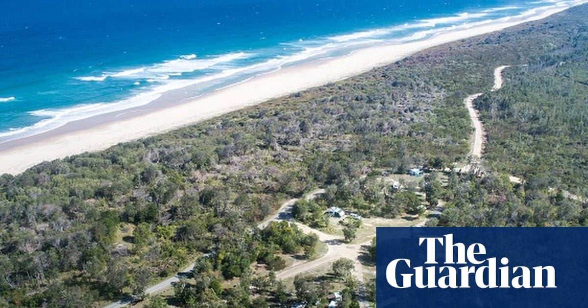 Beaches reopen after bull shark kills Swiss tourist with police reviewing GoPro footage from scene | Sharks