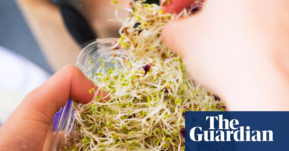 Nationwide recall of alfalfa sprouts linked to ‘unusual strain’ of salmonella after dozens infected across Australia | Health