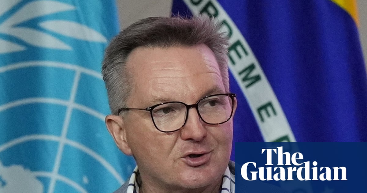 ‘Culture cringe’: experts dismiss Coalition claims Chris Bowen cannot remain minister while leading Cop31 negotiations | Environment