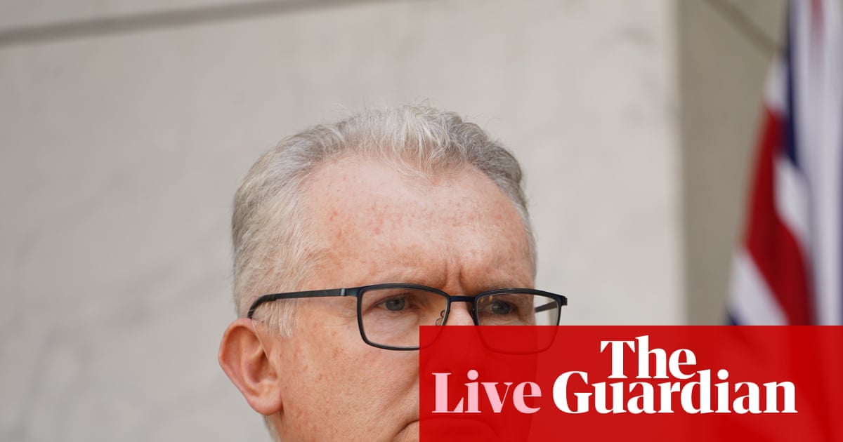 Australia news live: Tony Burke defends decision not to call royal commission into Bondi attack; Australia records highest number of road deaths since 2010 | Australia news