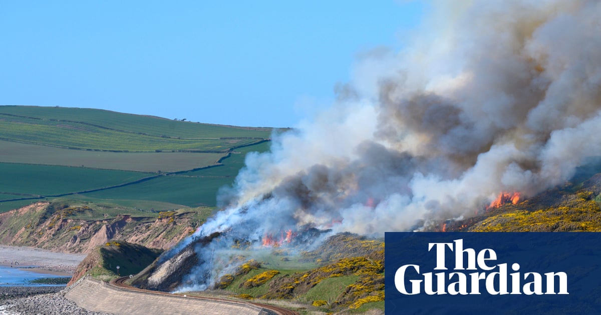 Ten English fire services tackled record number of grass, forest and crop fires in 2025 | Wildfires