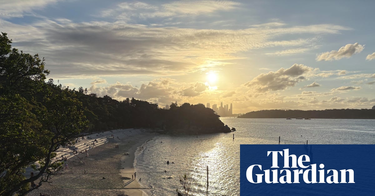 Boy fighting for life after being bitten by shark at Nielsen Park in Sydney’s east | Sydney