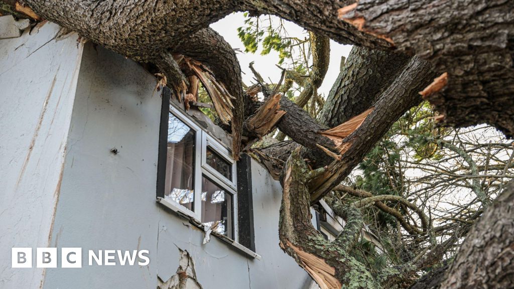 Man dies in Cornwall as tree falls on caravan in Storm Goretti
