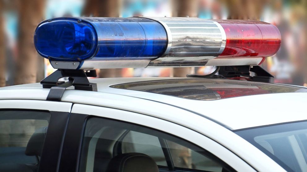 San Franciso issues warning as mountain lion roams city streets