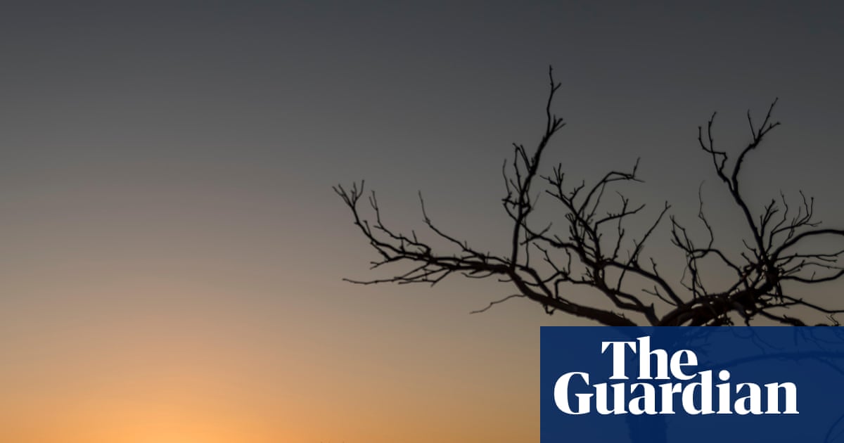 Severe heatwave envelops South Australia as Victoria braces for record-breaking weather and fire threats | Australia weather